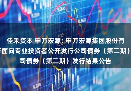 佳禾资本 申万宏源: 申万宏源集团股份有限公司2025年面向专业投资者公开发行公司债券（第二期）发行结果公告