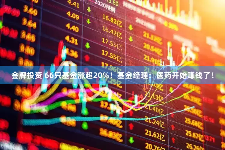 金牌投资 66只基金涨超20%！基金经理：医药开始赚钱了！