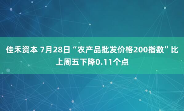 佳禾资本 7月28日“农产品批发价格200指数”比上周五下降0.11个点