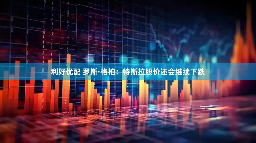 利好优配 罗斯·格柏：特斯拉股价还会继续下跌