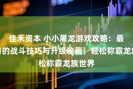 佳禾资本 小小屠龙游戏攻略：最全完善的战斗技巧与升级秘籍，轻松称霸龙族世界